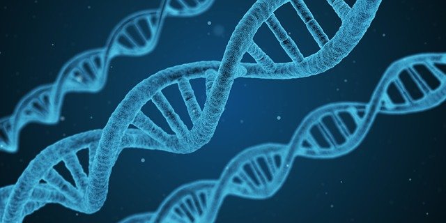 DNA é uma das ferramentas que permitem nos conectar ao nosso passado